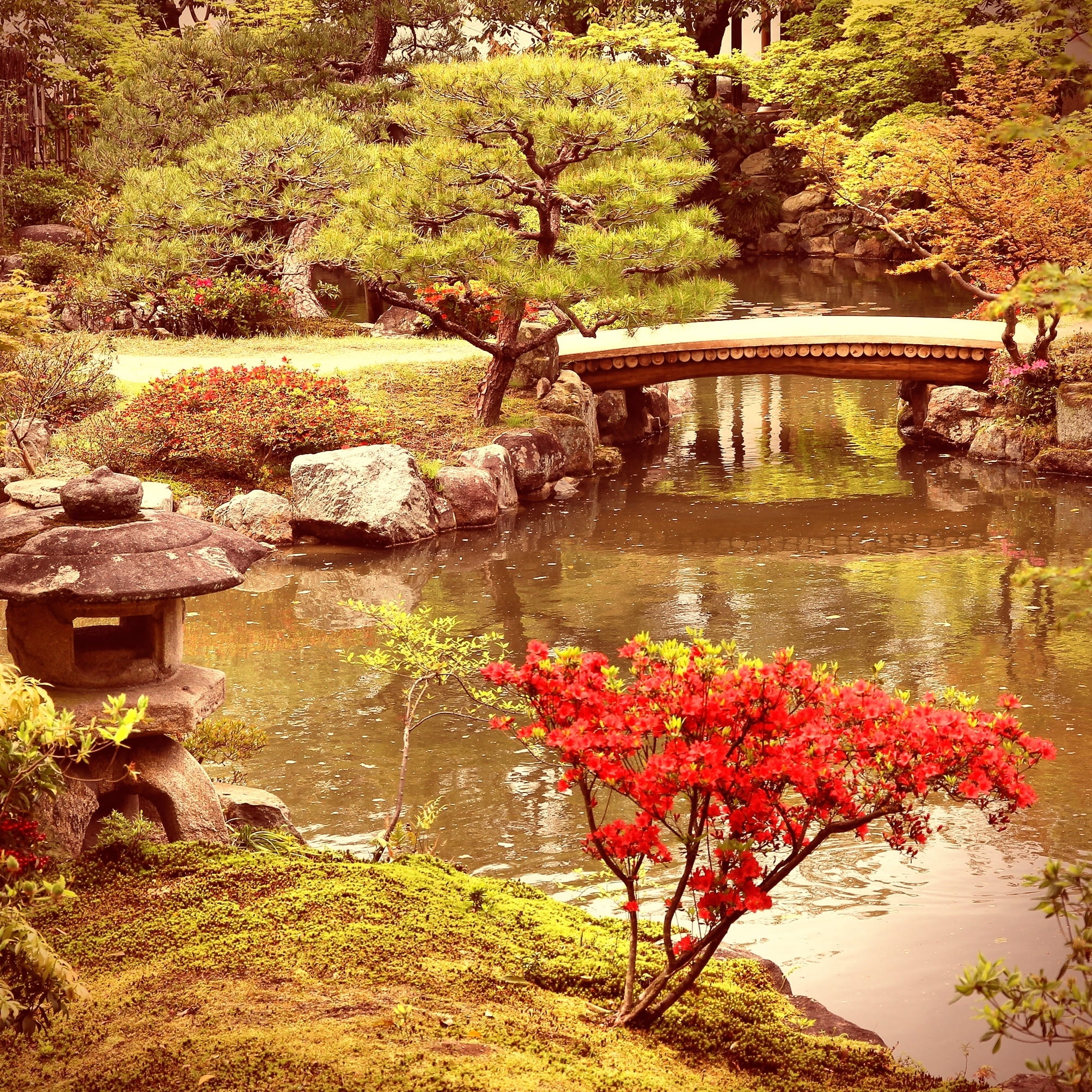 The Most Beautiful Gardens in Japan