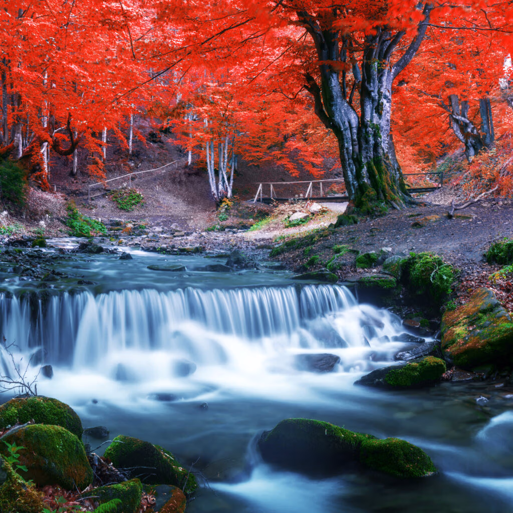 Top 26+ Most Beautiful Places to Visit in Japan