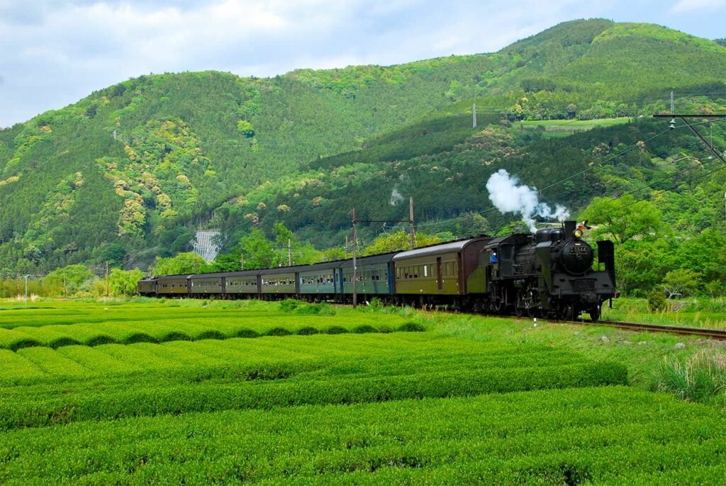 Shizuoka Prefecture