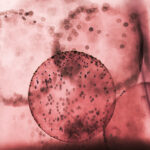 The truth about calorie counting according to a dietitian